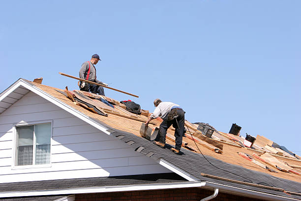 Best Solar Panel Roofing Installation  in Lake Hamilton, AR